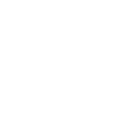 Travel Fly Sticker