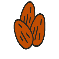 Almonds Sticker by Maeve Chocolate