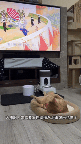 cuteanimalland giphyupload GIF