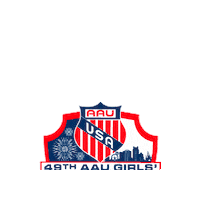 Volleyball Aau Sticker by aausports