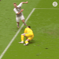 Robert Lewandowski Football GIF by FC Bayern Munich