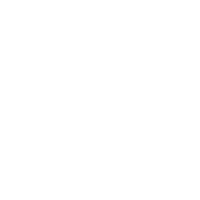 Workout Quote Sticker by UNIFORM-Agri