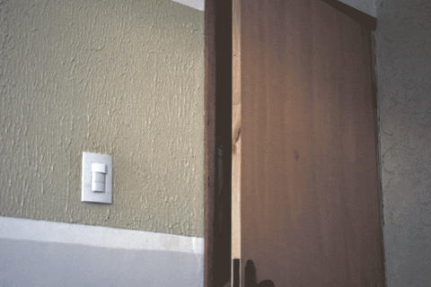 AnielNeto giphyupload GIF