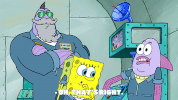 season 9 episode 3 GIF by SpongeBob SquarePants
