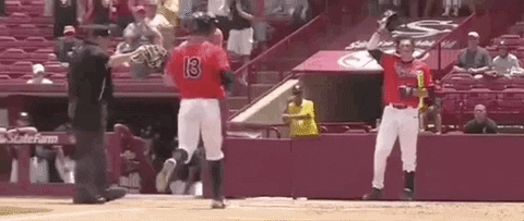 World Series Baseball GIF by NCAA Championships