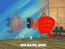 season 8 episode 6 GIF by SpongeBob SquarePants