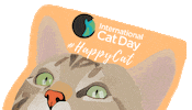 icatcare cat kitty happycat internationalcatday Sticker