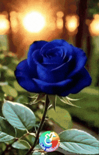 Para Ti Gracias GIF by Murcianys LLC