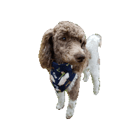 Disney Dog Sticker by Geekster Pets