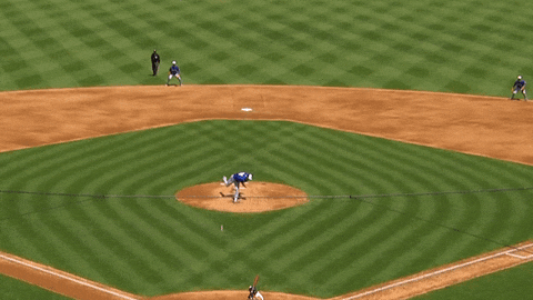 Mad Max Mlb GIF by Toronto Blue Jays