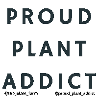 Monstera Plant Mom Sticker by The Plant Farm