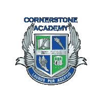 Academica Schools Sticker by Academica