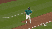 Major League Baseball Sport GIF by MLB