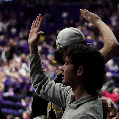 High Five Lets Go GIF by LSU Tigers