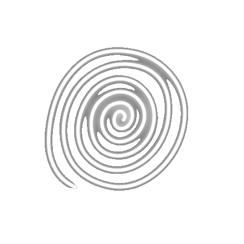 NaeLetters giphyupload white web spiral Sticker