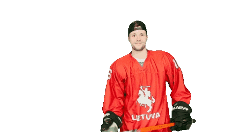 Hockey Stick Sticker by ledoritulys.lt