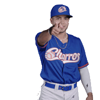 Sport Baseball Sticker by Charros de Jalisco
