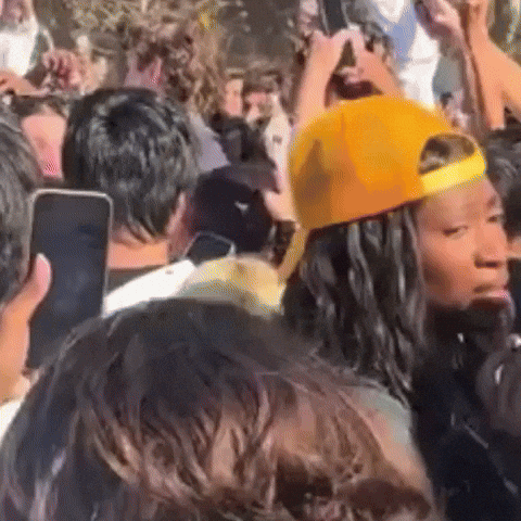 Kings Court Steph GIF by XOXO Virgin Hair