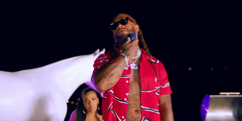 Ty Dolla Sign Hottie GIF by Megan Thee Stallion