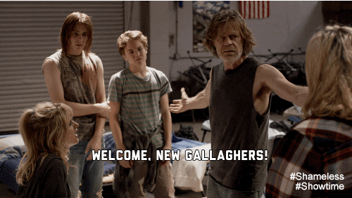 frank gallagher new gallaghers GIF by Showtime