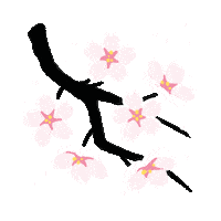 Cherry Blossoms Japan Sticker