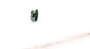 ice hockey sport GIF by NHL