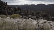 Viceland GIF by RISE