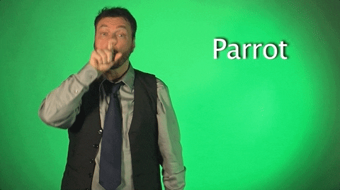 sign language parrot GIF by Sign with Robert