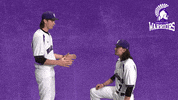 Baseball Warriors GIF by WinonaStateATH