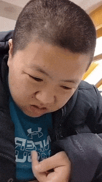 Chicago Niche GIF