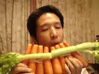 Pan Flute Wtf GIF