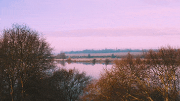 spokeworld water wellness mental health meditation GIF