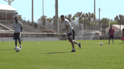 roman torres soccer GIF by Seattle Sounders