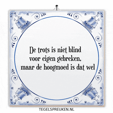 Humor Reflectie GIF by Tegelspreuken.nl