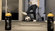 Esports GIF by Reply Totem