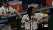 Major League Baseball Sport GIF by MLB
