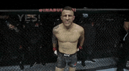 Sport Yes GIF by UFC