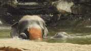 7 Eleven Vacation GIF by Jan Metternich