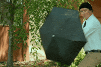 Purenoise GIF by Pure Noise Records