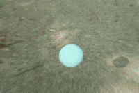Purenoise GIF by Pure Noise Records