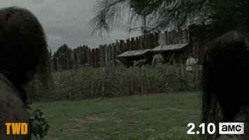twd GIF by The Walking Dead