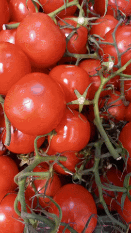 Simongip giphyupload GIF