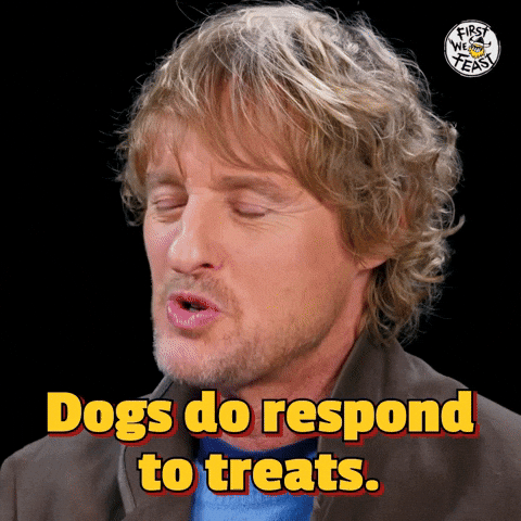 Chicken Wings Hot Ones GIF by First We Feast