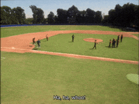 Star Trek Baseball GIF by Goldmaster