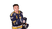 Zellamsee Ekz Sticker by EK Zeller Eisbären
