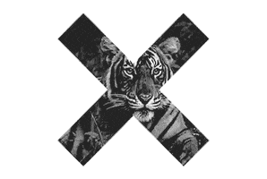 black and white x STICKER