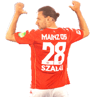 Happy Bundesliga Sticker by 1. FSV Mainz 05