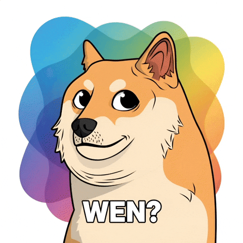 Shiba Inu Dog GIF by Doge Pound