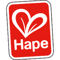 hapetoys hape hapetoys hapedeutschland Sticker