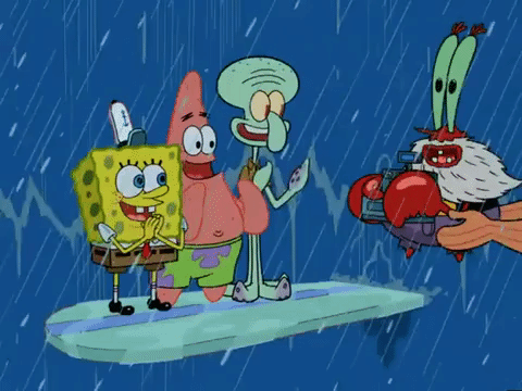 season 6 GIF by SpongeBob SquarePants